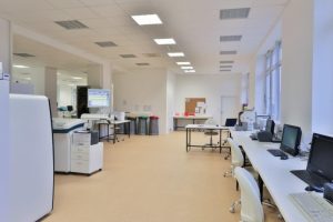 Laboratoře SPADIA LAB Praha - Stavební úpravy v objektu NAGANO 1, SPADIA LAB, a.s.